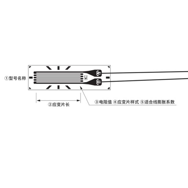 应变片